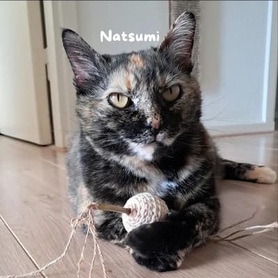 Pet care moment 2